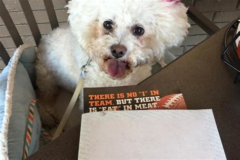 THE 10 BEST Beaumont Pet Friendly Hotels .